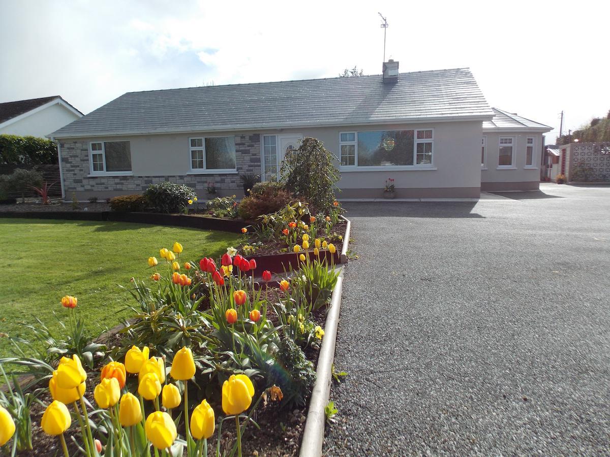 Barrow View Accommodation Mountmellick Kültér fotó