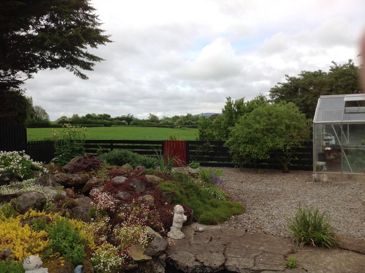 Barrow View Accommodation Mountmellick Kültér fotó